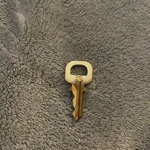 Louis Vuitton 310 key